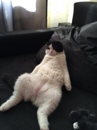 такая же фигня, каждый раз умиляемся