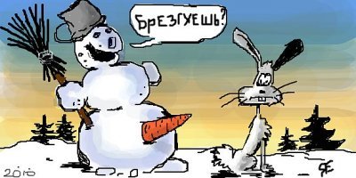 В Канаде вылепленный из снега автомобиль получил штраф за неправильную парковку