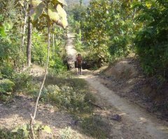 Сейчас допрет и обвалит котировки фьючерсов на нефть на Лондонской бирже...