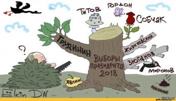 Выборы президента России: скандалы, интриги расследования из соцсетей