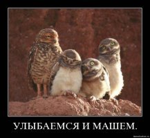 Красивые девушки улыбаются