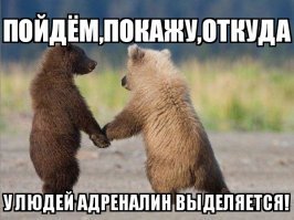 Чавой-то ты дома?У нас снежок выпал,речка льдом покрылась(почти),ща поедем на снегоходе адреналин добывать-по полыньям гонзать-приезжай,прокачу!