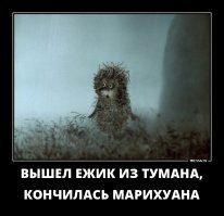Продать девственность и сексуальное рабство уже одно и тоже или аффтор накурившись анаши путает тёплое с мягким?