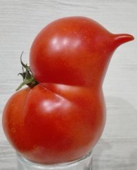 Эти идеальные продукты разбудят ваш аппетит!