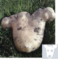 Эти идеальные продукты разбудят ваш аппетит!