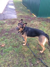 мою подарила нам учительница моей дочери) за успеваемость а я присоседилась к лаврам потому что разрешение пришлось на 14 февраля)))