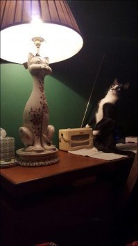 "Там же должен быть я!"