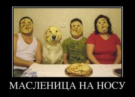 Смешные комментарии и высказывания из социальных сетей