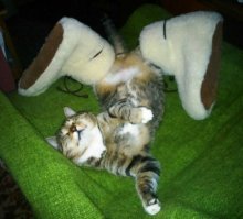 Смешные комментарии и высказывания из социальных сетей