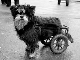 Ты это....держись. Все Будет Хорошо.