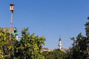 "....С минарета соседней мечети раздается протяжное и заунывное пение муэдзина. Вообще-то правильно говорить не пение и не крик, а "призыв" муэдзина, потому что он так призывает мусульман с молитве. Происходит это пять раз в сутки, в том числе и ночью ..." ЖЕСТЬ... НАФИГ ТАКАЯ ТАМ ЖИЗНЬ?