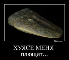 Антарктозух