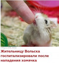 И взорвал хозяйку.