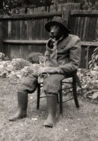 А ещё у нас вот такие сторожа охранят участки на фермах!))))