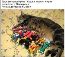 Сами вы Мегатрон! Это Вольтрон - защитник вселенной! Ууииии!