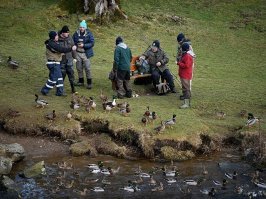 когда у них охота на уток открывается ???