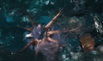 кто знает что это на 9.