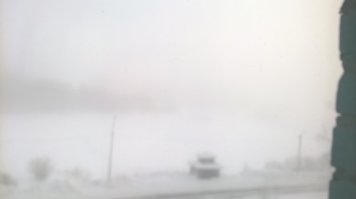 Первый поход