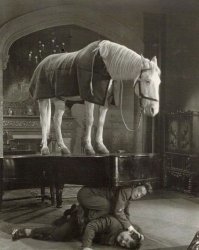 Коллекция абсурдных ретро-фотографий