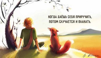 Прожорливая лиса выпросила у рыбака из Владивостока весь улов