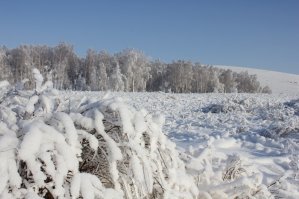 После Нового года у нас такая красота была