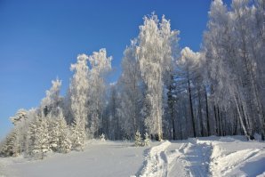 После Нового года у нас такая красота была