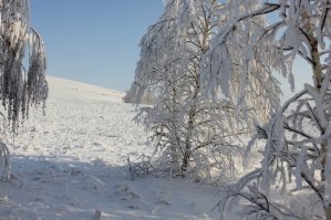 После Нового года у нас такая красота была