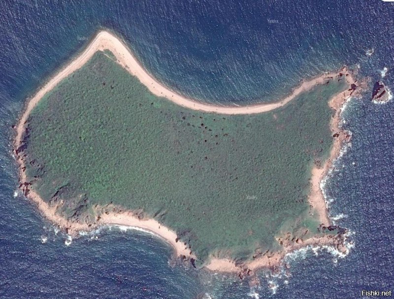 Вот остров Желтухина в Японском море. Чёрные точки - ржавые остовы танков. Я сам по ним лазил..