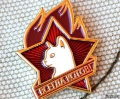 Бедная котейка. Всё стерпело...