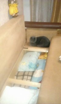 Да не в кормежке дело..у моих жрать...всегда стоит..и воды хватает.