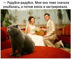 Котики, которые только что осознали, что их привели к ветеринару