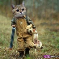 Собака застрелила хозяина-охотника