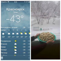 Священный Месяц Пельменярь.