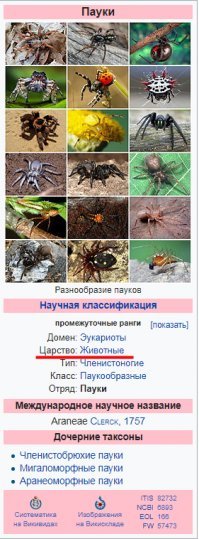 Таки да. Животные.