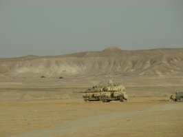 На тебе ещё, а то девок в посте полно, а танков почти нет: :)