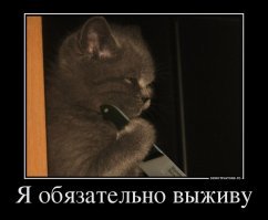 17-летний выживальщик шесть лет готовится к концу света