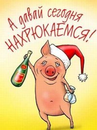 В Польше одомашненный хряк Хрюмек сбежал из дому, а через неделю вернулся пьяным