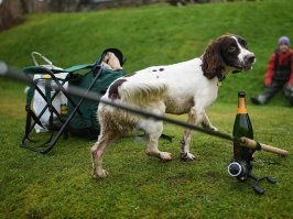 "Ктож на рыбалке шампанское пьет..." (c) Михалыч