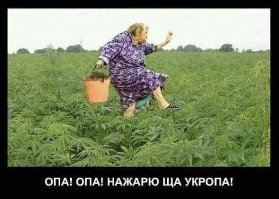 Тот самый случай, когда старость в радость