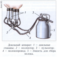 Вряд ли там высокие технологии.
Скорее всего какой-нибудь примитив.  :)
