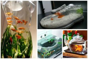 Не,ну уху варить в чайнике,совсем охъли