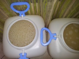 Смешные картинки с надписями