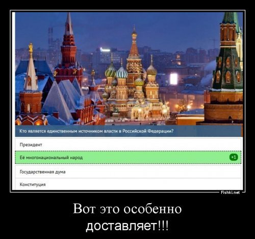 В хвост и в гриву: Тест на знание Конституции России