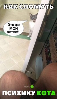 25 позитивных картинок, которые скрасят ваш день