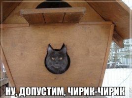 Так Чуковский "Путаницу" и написал :)