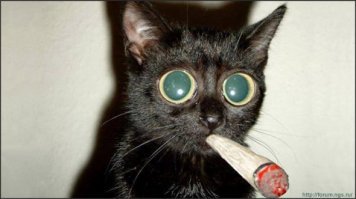 Ну, а что, теория Большого Взрыва - официальная. Когда ни хера ничего не было, потом этот нихер бабахнул и вот мы все разлетаемся со страшной скоростью.Почему бы и такой Вселенной не быть?...