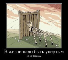 В Самаре участники курьезного ДТП вылезали из машин через багажник