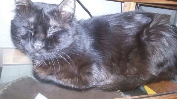 это сейчас...