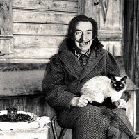 Знаменитости,которым повезло сфотографироваться с котами