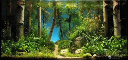 Аквариумисты - сумасшедшие фантазеры